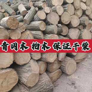 青冈木橡木树柴火果栎木枣木松木柴烤烧火干头户外篝火壁炉野炊?