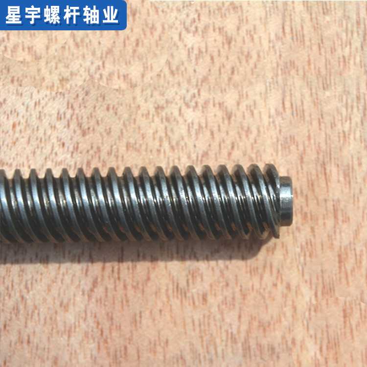 双头#20钢蜗杆螺丝通丝柱厂家定制加工 T12×5螺距螺丝杆连接件