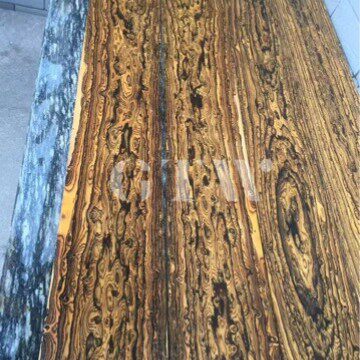 墨西哥黄金檀 家具材 工艺品 张家港进口木材 可带加工黄金檀木料