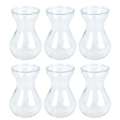 6个装风信子透明玻璃水培容器玻璃花盆水培瓶插植物器皿养花瓶