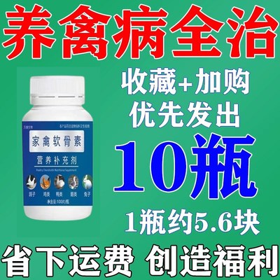 鸡鸭鹅瘫软瘸腿h脚软软骨脚软家禽用软腿素鸡腿软无力站立不稳软