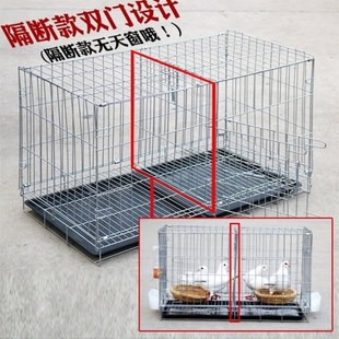 大號加粗鴿子用品用具12位16位養殖鴿子籠信鴿配對籠肉鴿繁殖籠子