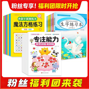 魔法方格练习幼儿专注力训练游戏书练字帖