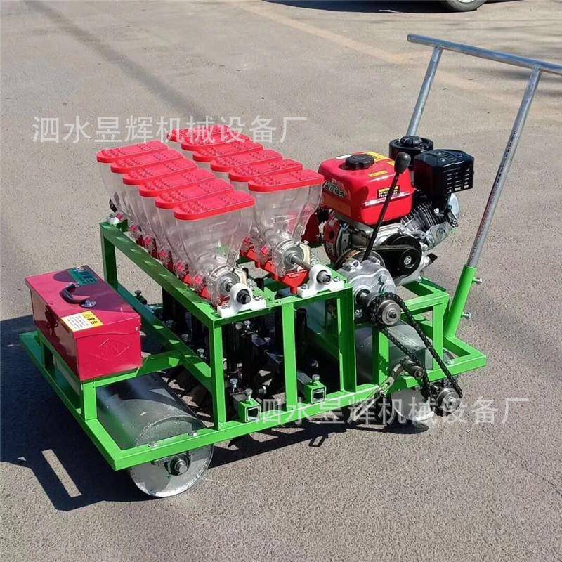 小型蔬菜播种机免间苗行距可调汽油自走式蔬菜播种机2-16行可选