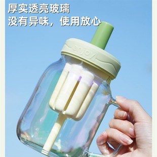 水杯女高颜值杯子大容量玻璃w杯带把手盖高硼硅办公室泡花茶吸管