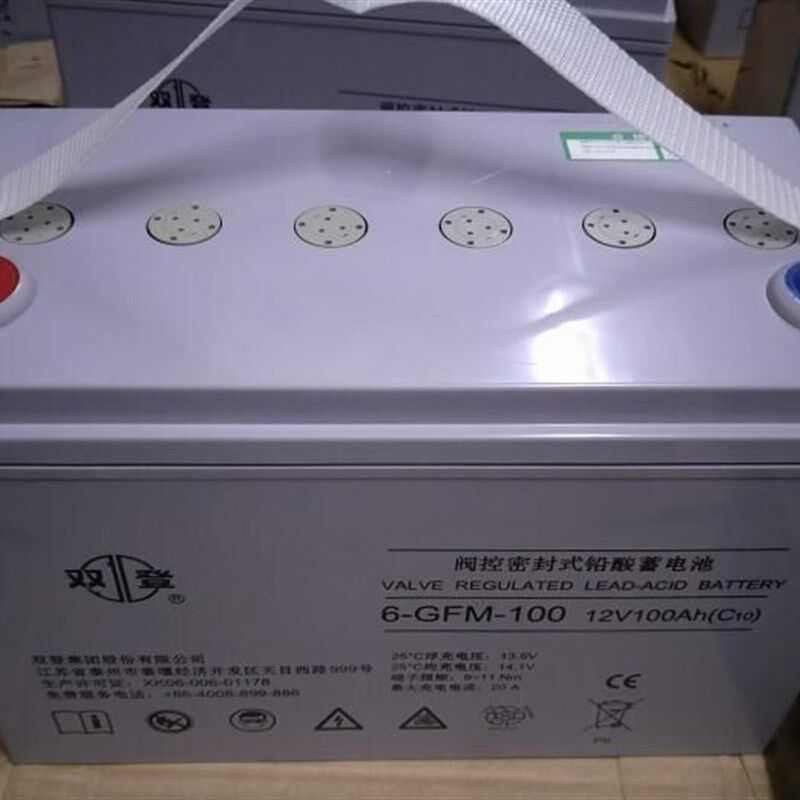双登6-GFM-100 12V100AH阀控密封式铅酸蓄电池免维护机房 UPS电源