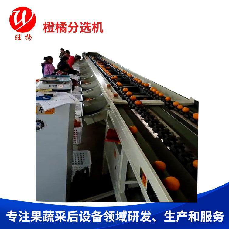 智能水果分选橙橘分选机选果机,清洗/食品/商业设备,其他食品加工设备,淘宝优惠券,粉丝福利购,淘宝优惠卷