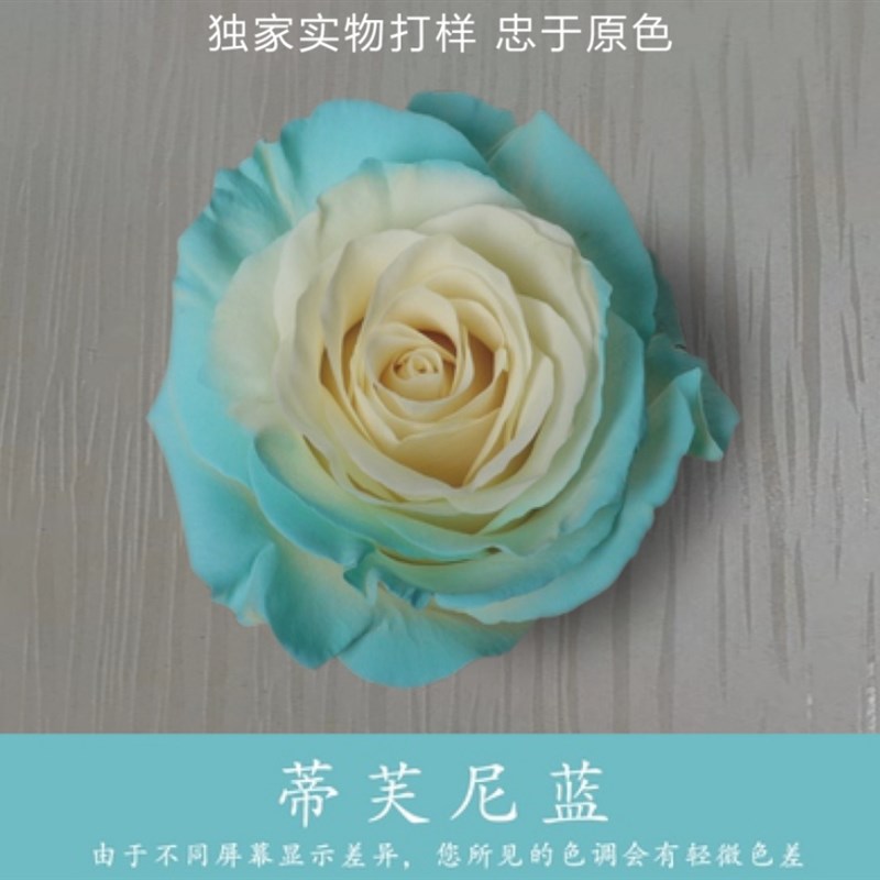 花艺专用染色剂喷色冰梅粉喷漆花C玫瑰花鲜花乌梅子酱彩色碎冰蓝