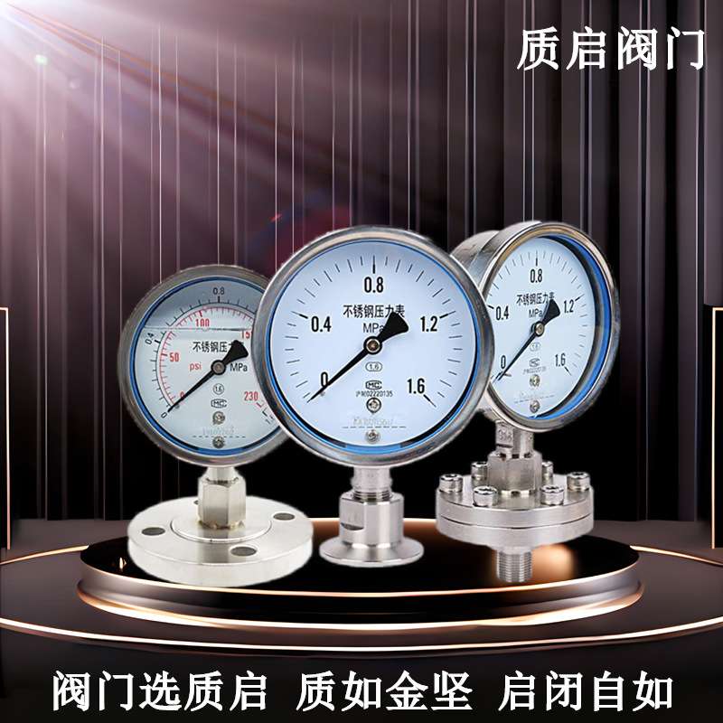 不锈钢卡箍式压力表隔膜压力表膜片耐震压力表法兰连接压力表Y100