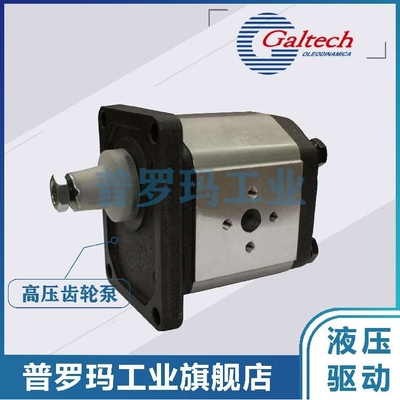 意大利GALTECH齿轮泵2SP-A-160 110 140 190-SAEA OR ENR B80C-14