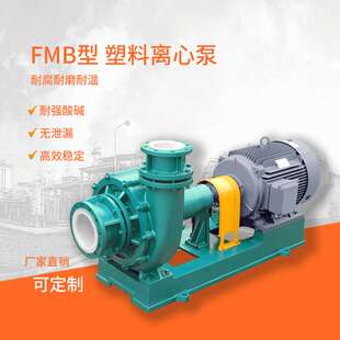 江南FMB40-32-160塑料化工离心泵 机封耐酸砂浆泵 混合料输送泵