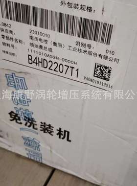 喷油泵B4HD2207T1  11111010A53H-0000H和1111010-53B B4HD2207T