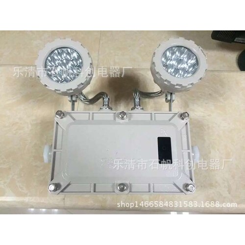 GCD803-YJ-6W双头防爆应急灯  BCJ-2*3W YZ40EA-1