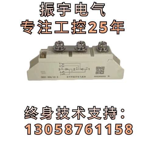 厂家直供振宇模条SKKS 60A/16E单相反并联模条可控硅模条 零售