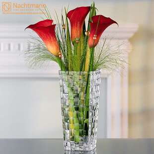 德国进口客厅家用富贵竹透明玻璃家居饰品水养插花瓶