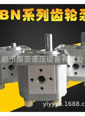 齿轮泵CBN-E306 CBN-E310 CBN-E314 316 320 325液压油泵润滑泵