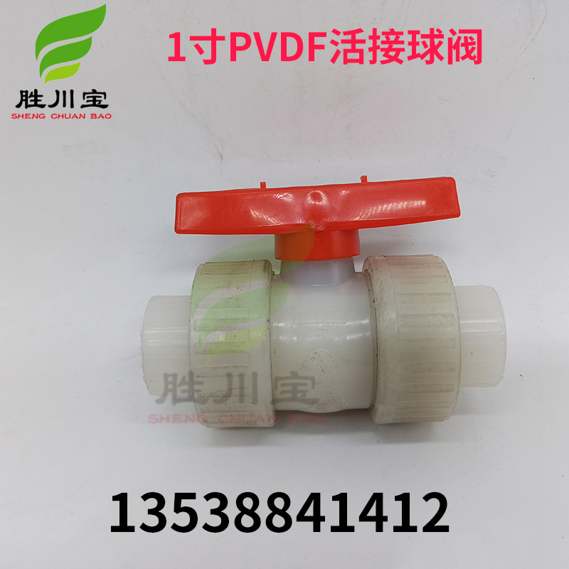 1寸TWTS CD100CD200 PVDF活接球阀 电镀过滤机开关过滤器排气阀