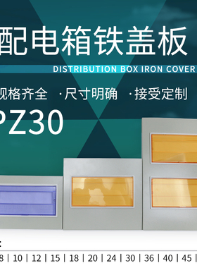 PZ30-4/6/8/10/12/15/18/20/24/36/45/54回路家用面板配电箱盖子