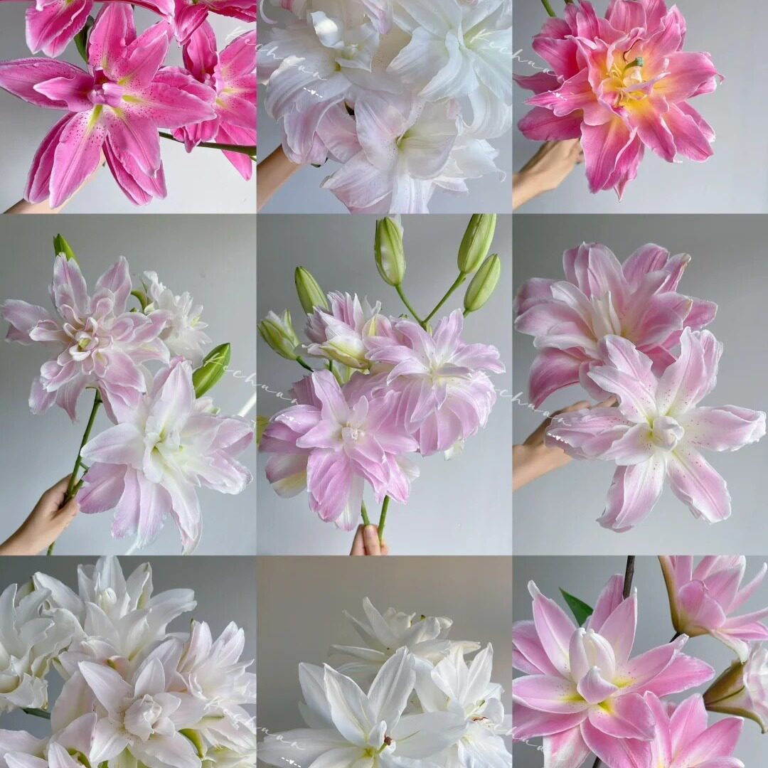 任意重瓣香水百合花鲜花云南基地直发水养鲜切花七夕情人节花束