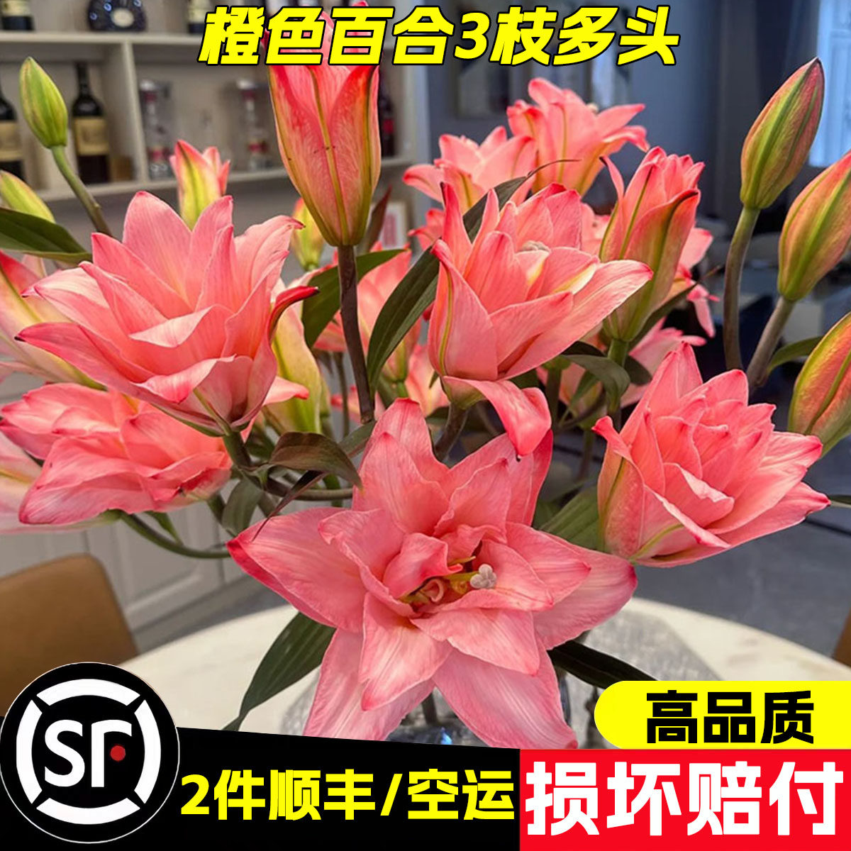 鲑鱼公主重瓣吸色百合花鲜花云南基地直发水养鲜切花家用插花花卉