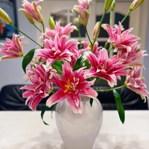 【老六直播专属】艾琳娜重瓣百合云南鲜切花云南直发