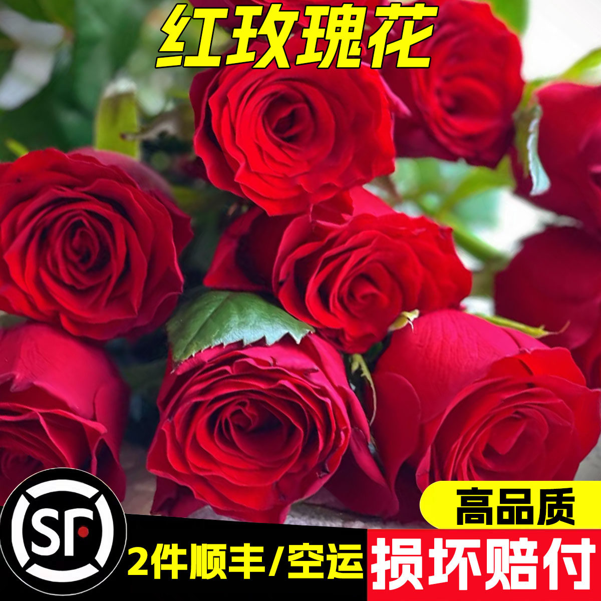 玫瑰花鲜花云南基地直发红玫瑰鲜切花生日520情人节礼物花束插花