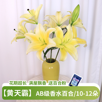 黄天霸香水百合花鲜花云南直发