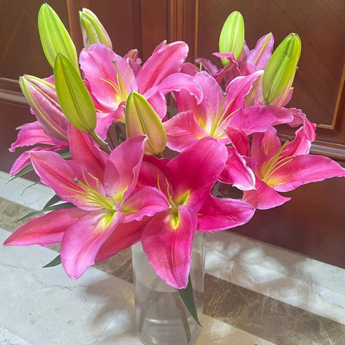 【老六直播专属】特红香水百合花鲜花云南基地直发水养鲜切花