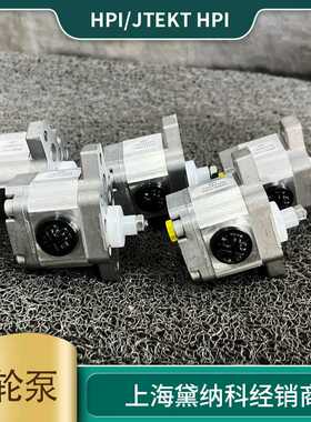 法国HPI齿轮泵C5075099 P3BAN1003CL10B01N经销进口液压泵 矿山