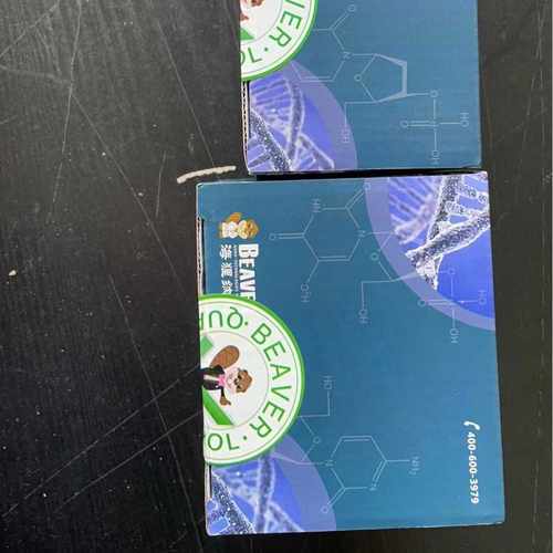 Beaver海狸70301-5二氧化硅磁珠粒径500nm，5ml