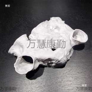 小鱼躲避屋虾屋鱼缸造景摆件水底洞穴水下宫殿小鱼庇护所鱼虾繁殖