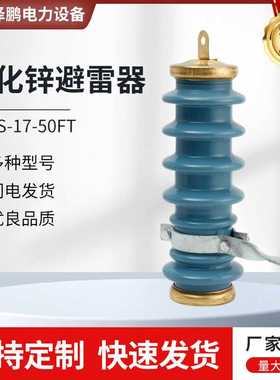 陶瓷避雷器Y5WS-17-50FT高压陶瓷外套金属氧化锌避雷器蓝色避雷器