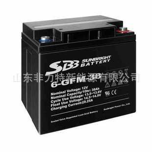 UPS 38免维护12V38AH EPS直流屏电源专用 GFM SBB圣豹蓄电池6