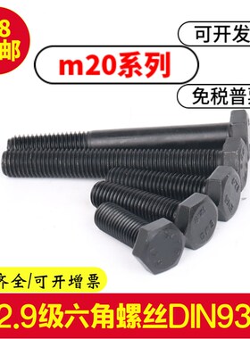 12.9级外六角螺丝M20x40x45x50x55x60x65x70x75x80高强度螺栓发黑
