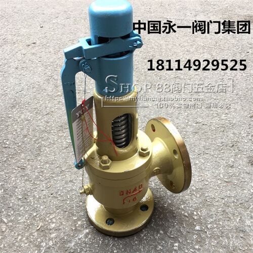 中国永一阀门集团 A48Y-16C/25C/40C/64C 铸钢法兰弹簧式安全阀