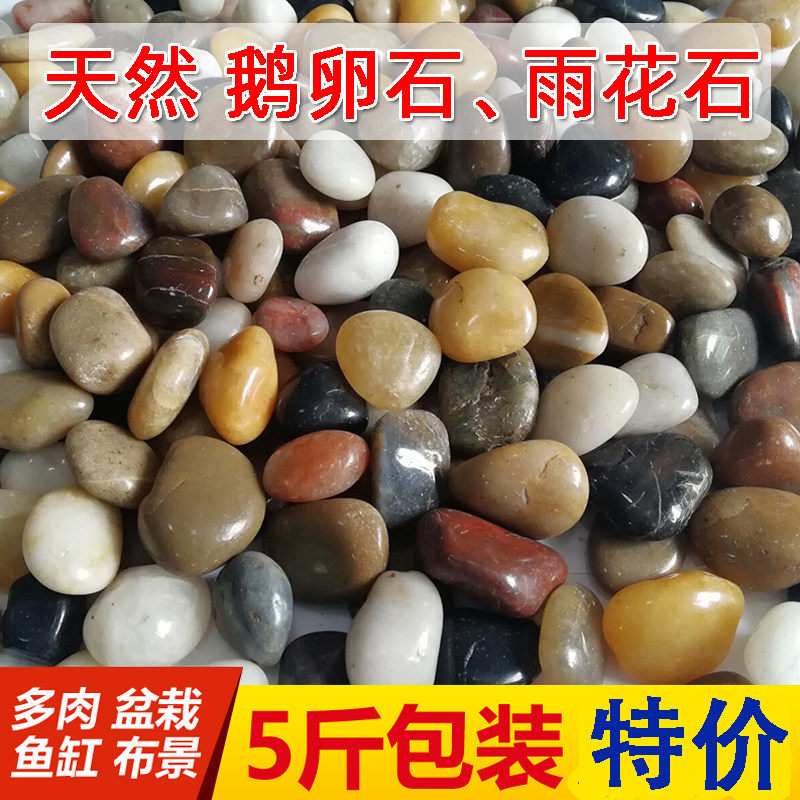 鹅卵石雨花石原石天然小石子鱼缸造景庭院微景观装饰盆栽五彩石头,工业油品/胶粘/化学/实验室用品,实验室漏斗,淘宝优惠券,粉丝福利购,淘宝优惠卷