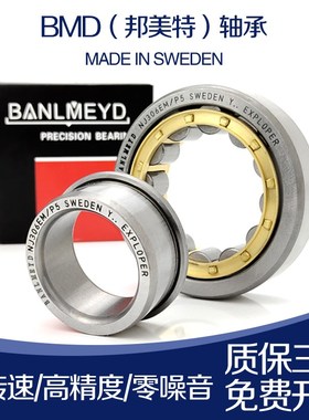 BMD进口轴承NJ1020 1022 1024 1026 1028 1030 1032 1034 1036EM