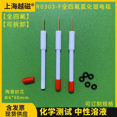 R0303-F型全四氟氯化银电极 参比电极 玻璃银.氯化银电极 四氟杆