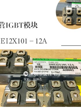 DSEI2X101-06A DSEI2X121-02A DSEI2X61-12B DSEI2X101-12A 06C