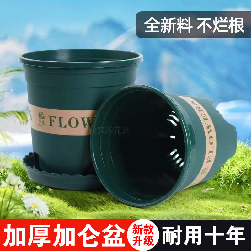 加仑特价塑料多肉绿萝月季家用控根花盆盆栽批发阳台清仓处理