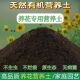 通用营养土种菜土种花养花种植土壤有机土
