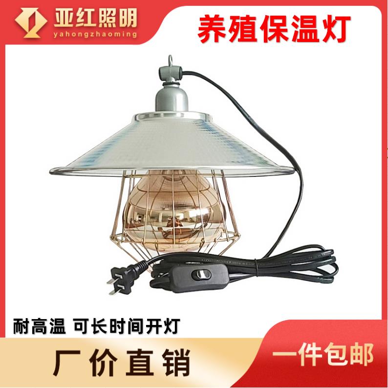 养殖取暖灯鸡鸭家畜宠物育雏保暖灯带304开关插头100W275W保温灯