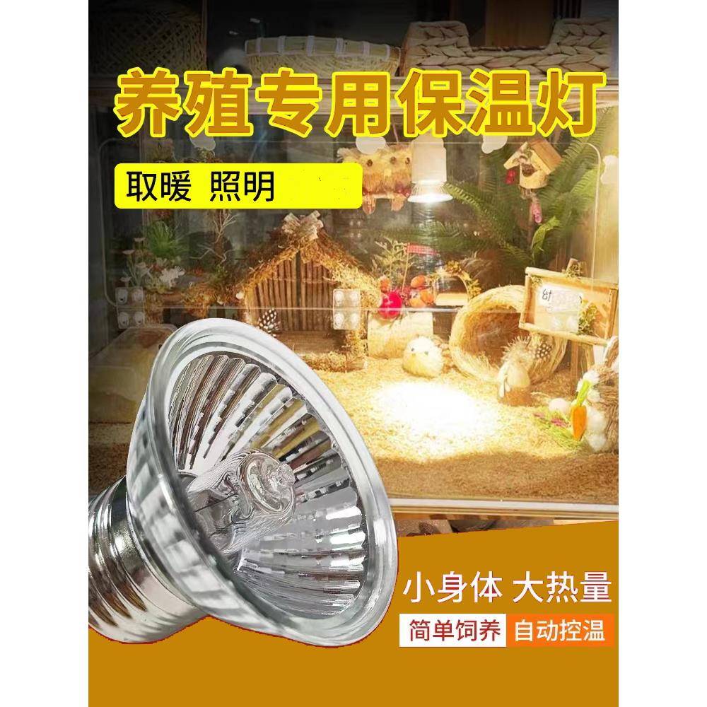 芦丁鸡金丝熊仓鼠鹌鹑乌龟爬宠饲养箱配套加热灯保温灯晒背灯陶瓷
