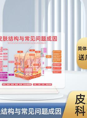 皮肤问题成因讲解工具皮肤结构模型美容院专用亚克力摆件专业教育