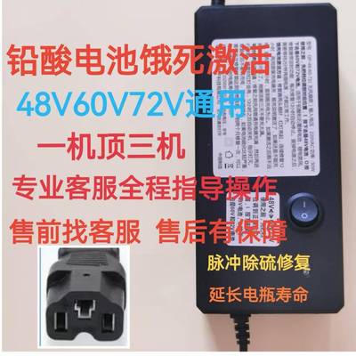 激活饿死电池电动车电瓶激活器铅酸电池石墨烯电池48V60V72V通用