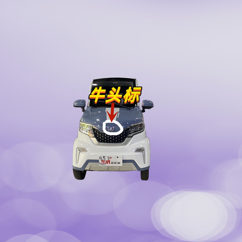 东威四轮电d动车配件A8plus保险杠玻璃门锁拉手东威电动三轮车配