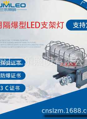 DGC35/127L(A) 矿用隔爆型LED支架灯