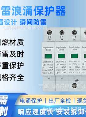 飞纳得LKX-L/YHZ一级浪涌保护器电源防雷器家用220V2P避雷器电涌