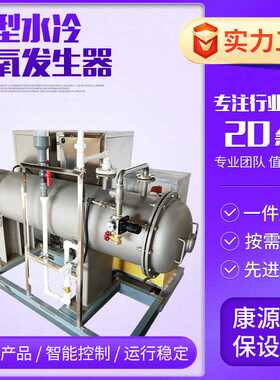 废水净化消毒设备 脱硝专用臭氧发生器 降解COD专用除味用臭氧机