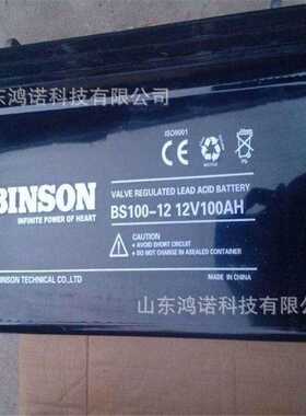 滨松蓄电池12V100AH BINSON蓄电池FM100-12 UPS/EPS/直流屏